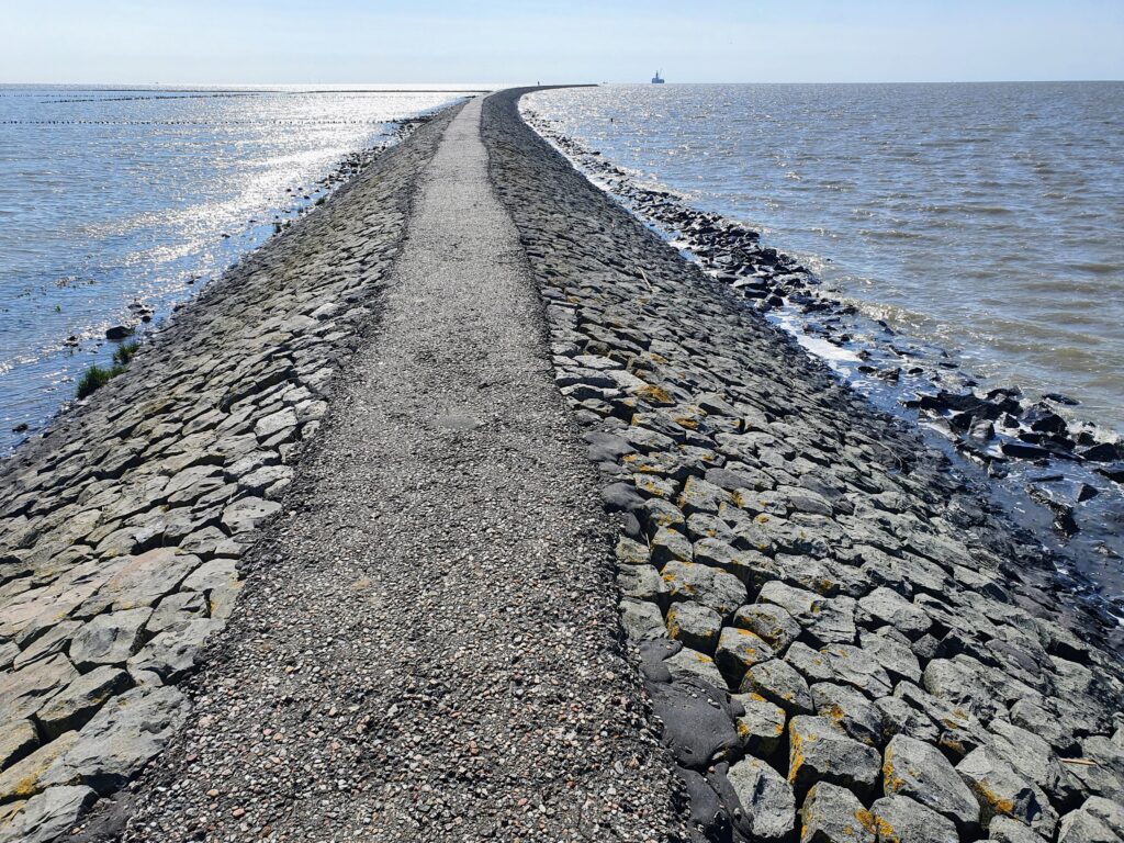 Trischendamm Friedrichskoog Fewo Live