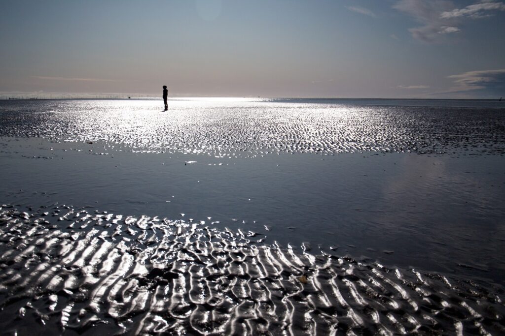 Wattenmeer - wattlandschaft - Ebbe - Fewo-Live